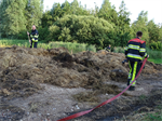 Prio 2 Berm Ruigte Brand De Miedwei Twijzel